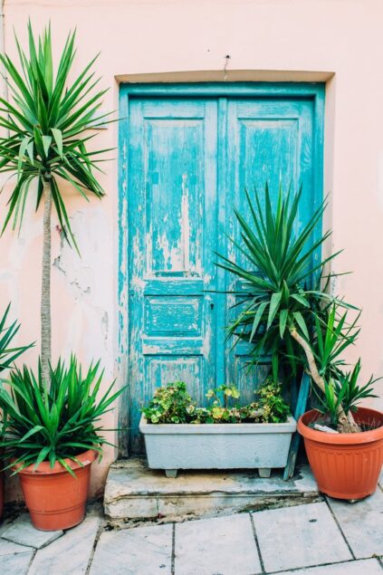 attachment-61de2c309f306103fd4a4cd4