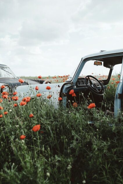 attachment-61de29680f2fe449f79125cc