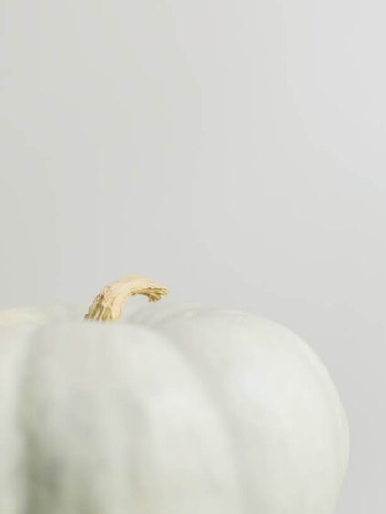 attachment-61de2861de77565a2421e251