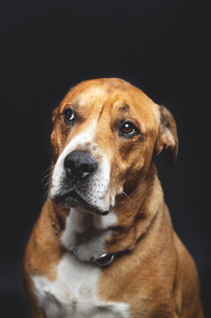 attachment-61de1cc150e9bb322702ed1d