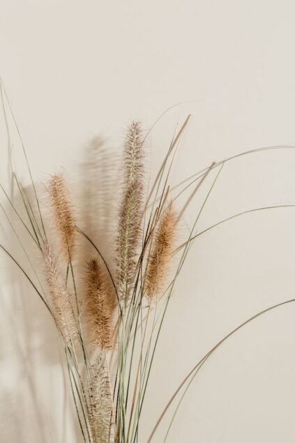 attachment-61de1b5b98d82c72600787b1