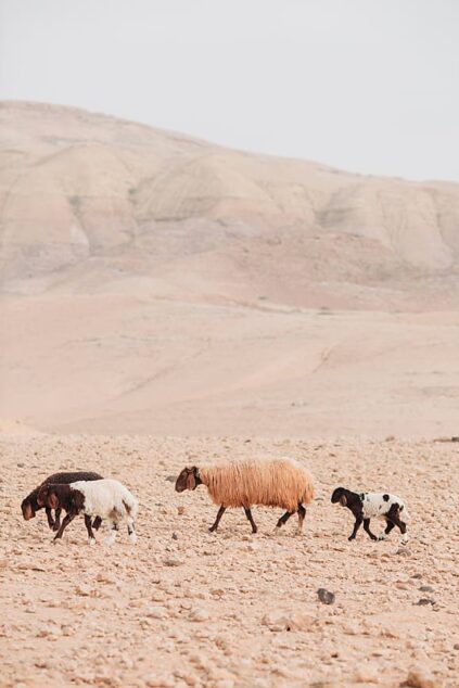 attachment-61de1b2108934158eb42df72