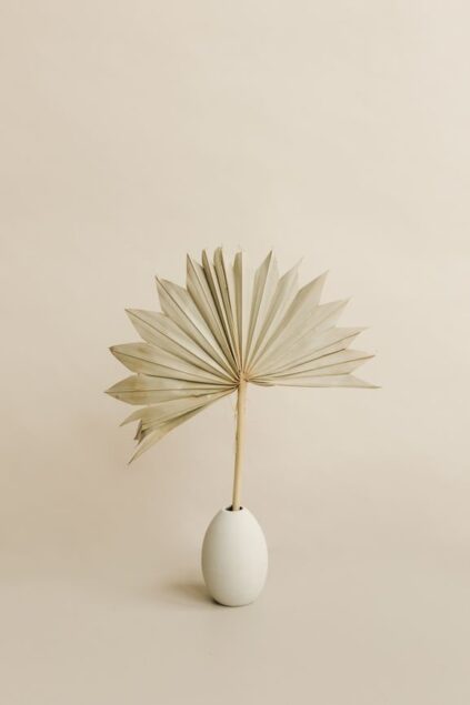 attachment-61de1895c12979250a67d20b