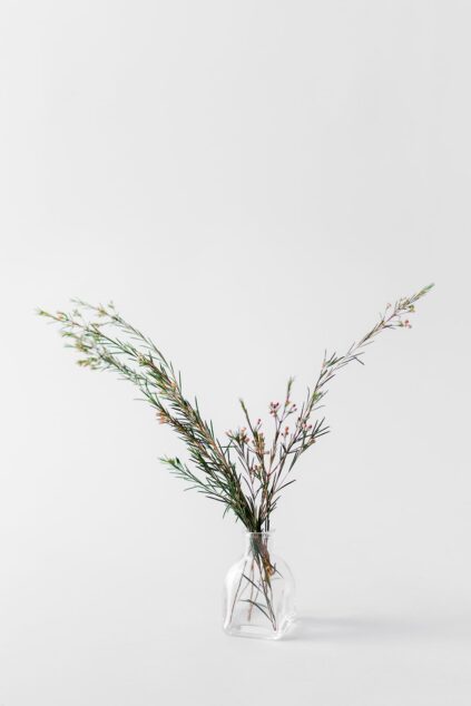 attachment-61de172613ab9f7f6b9640b6