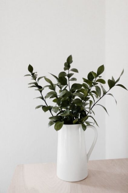 attachment-61de163bfcb67364f7283751