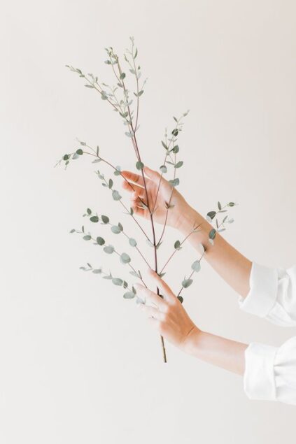 attachment-61de14d4fe28aa46cf14df76