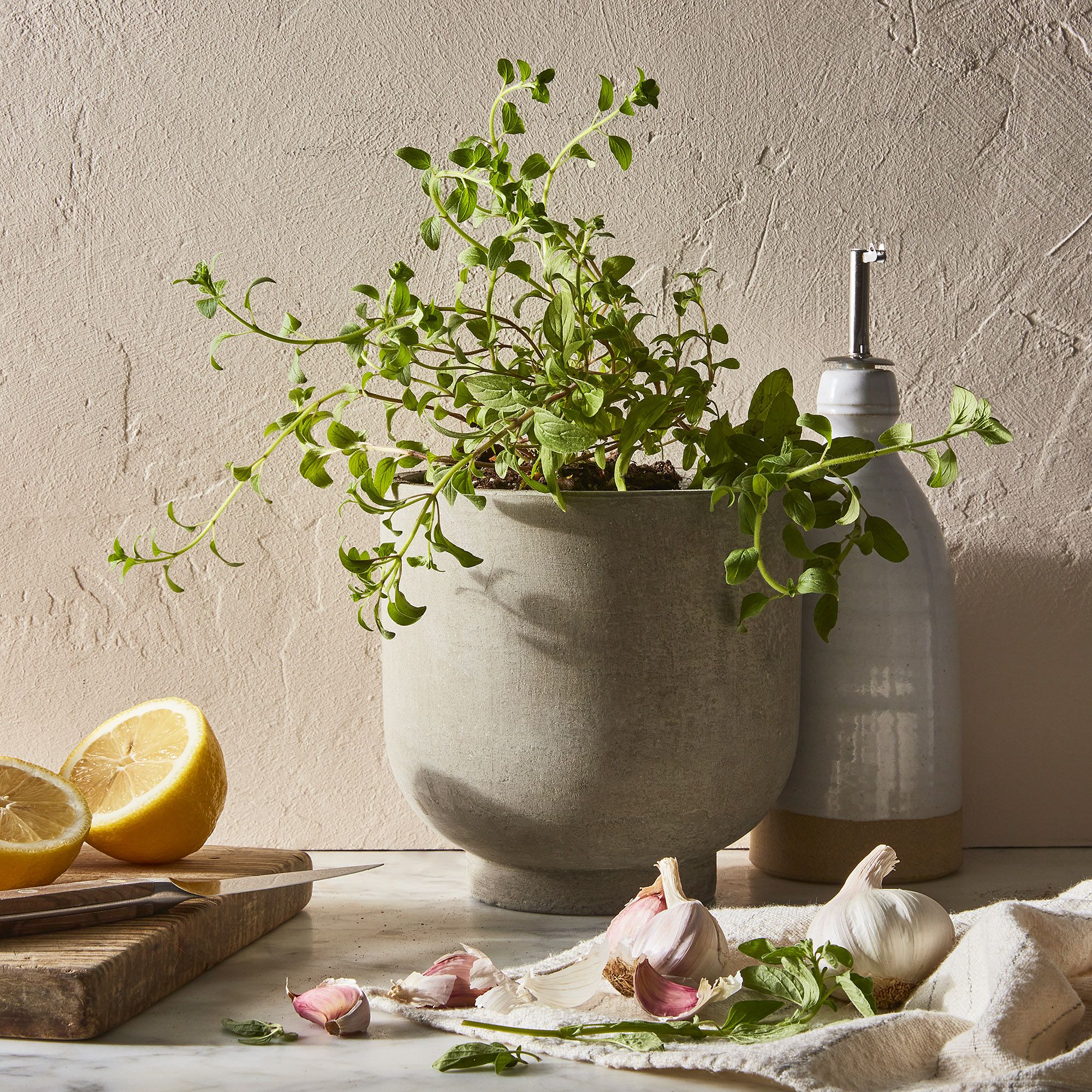 A light beige Hawkins New York plant pot with a plant in it set next to an oil dispenser and behind a cutting board with lemons and garlic on it.