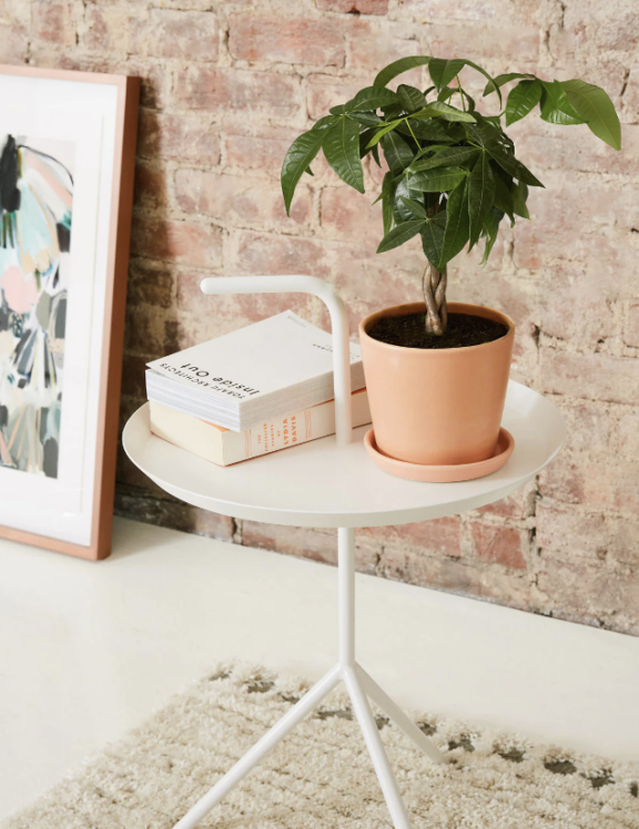A terracotta pot with a leafy green plant in it, set on top of a small white round table in a living room setting.