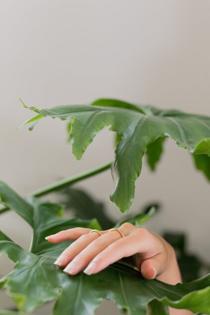 attachment-61de01a1cc115d7edb404c0a