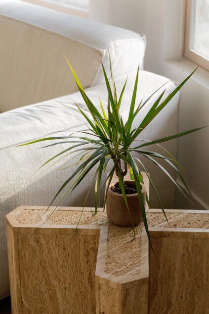 attachment-61de011a566c307d43885e16