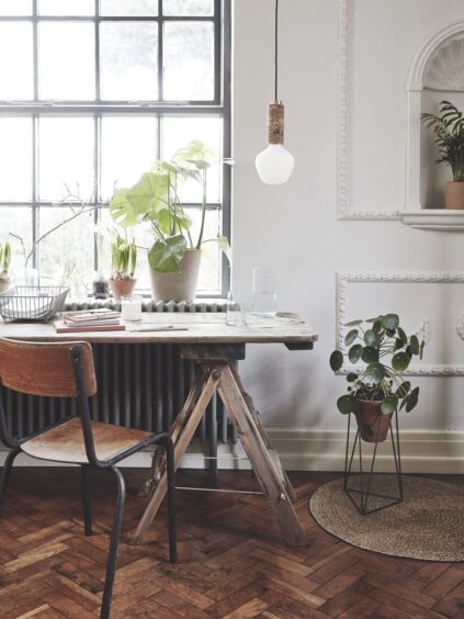 attachment-61ddff42155cdc7b00a12642