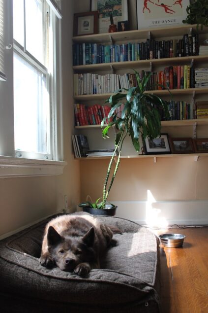 attachment-624b28733a5cae7f5e61acf4