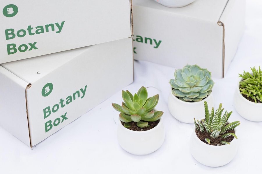 Botany-Box-unisex-gifts.jpg