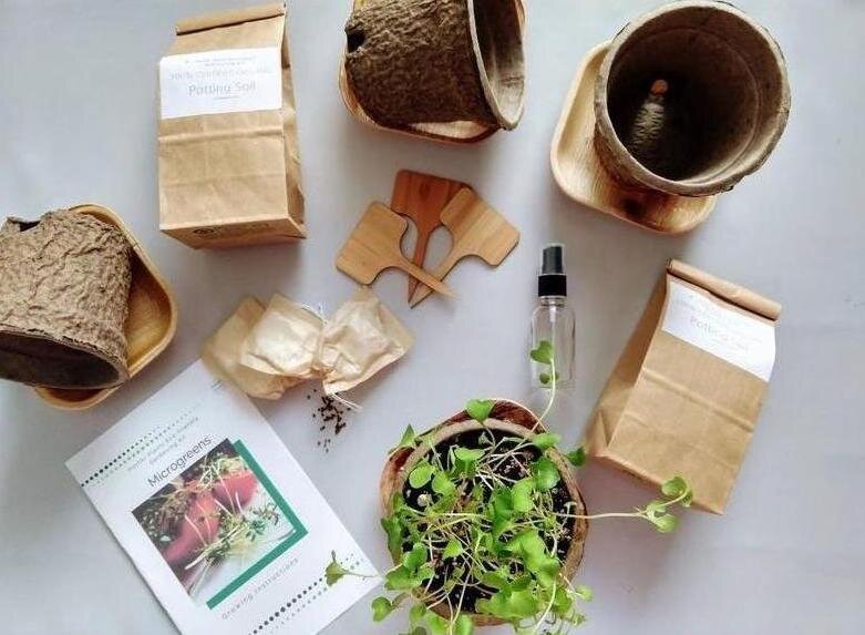 Hortikik-plants-sustainable-etsy-gifts.jpg