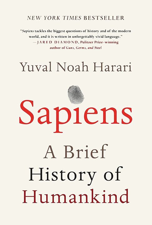 Sapiens-a-brief-history-of-humankind-enneagram-gift-guide.jpg