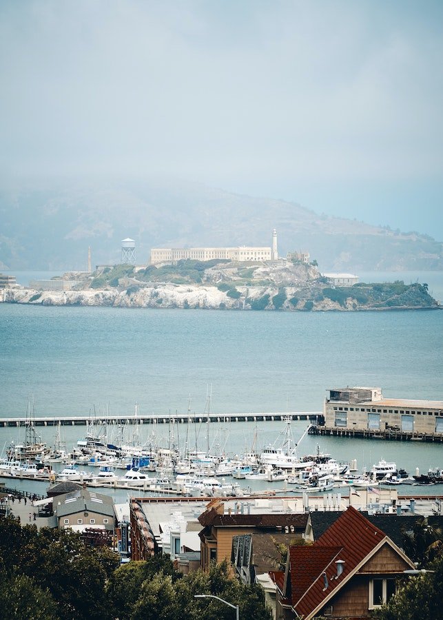 Reader Essay: How Swimming Alcatraz Helped Me Overcome Anxiety