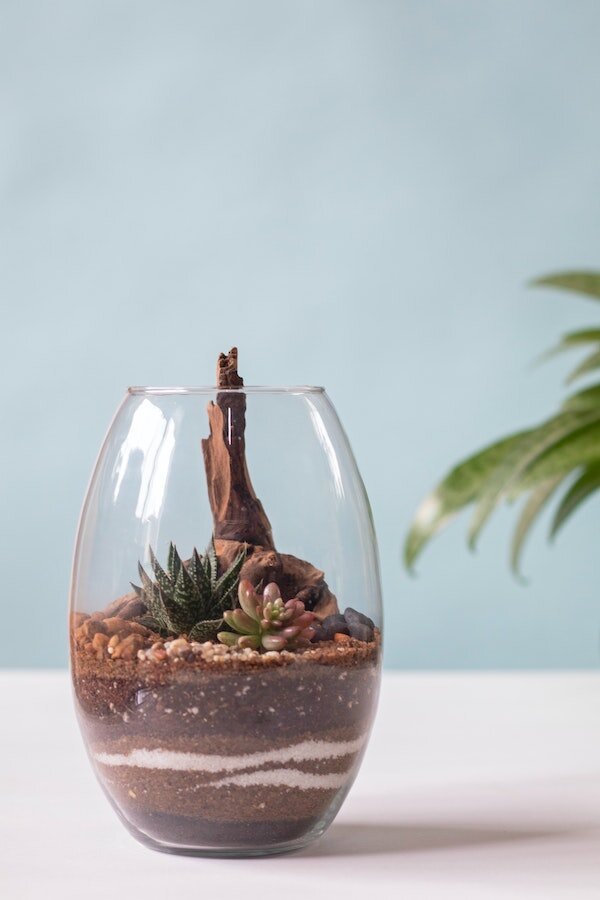 Bring The Outdoors In: How To Make Your Very Own Terrarium