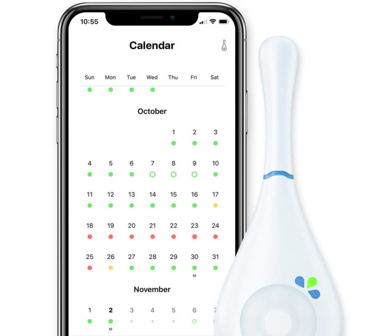 6 Wearable BBT Thermometers & Body Temp Rings (2024) The Good Trade