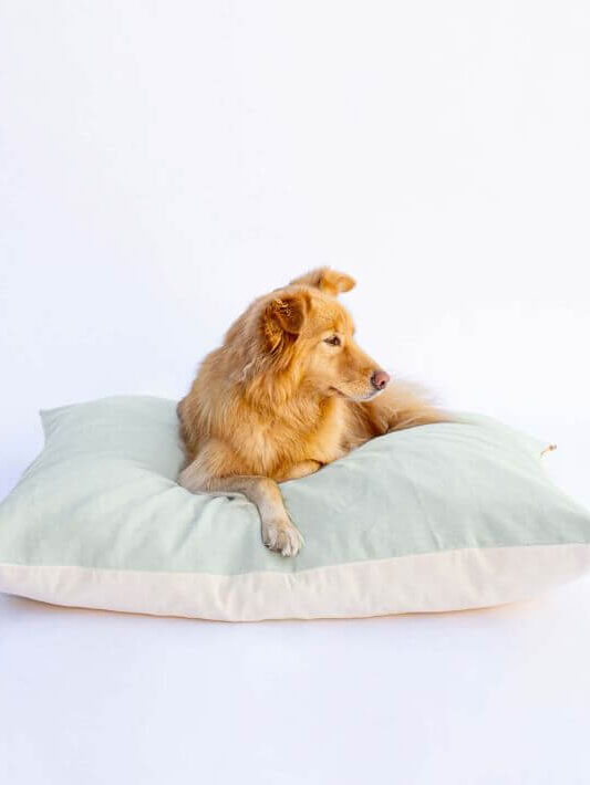 eco-friendly organic dog beds