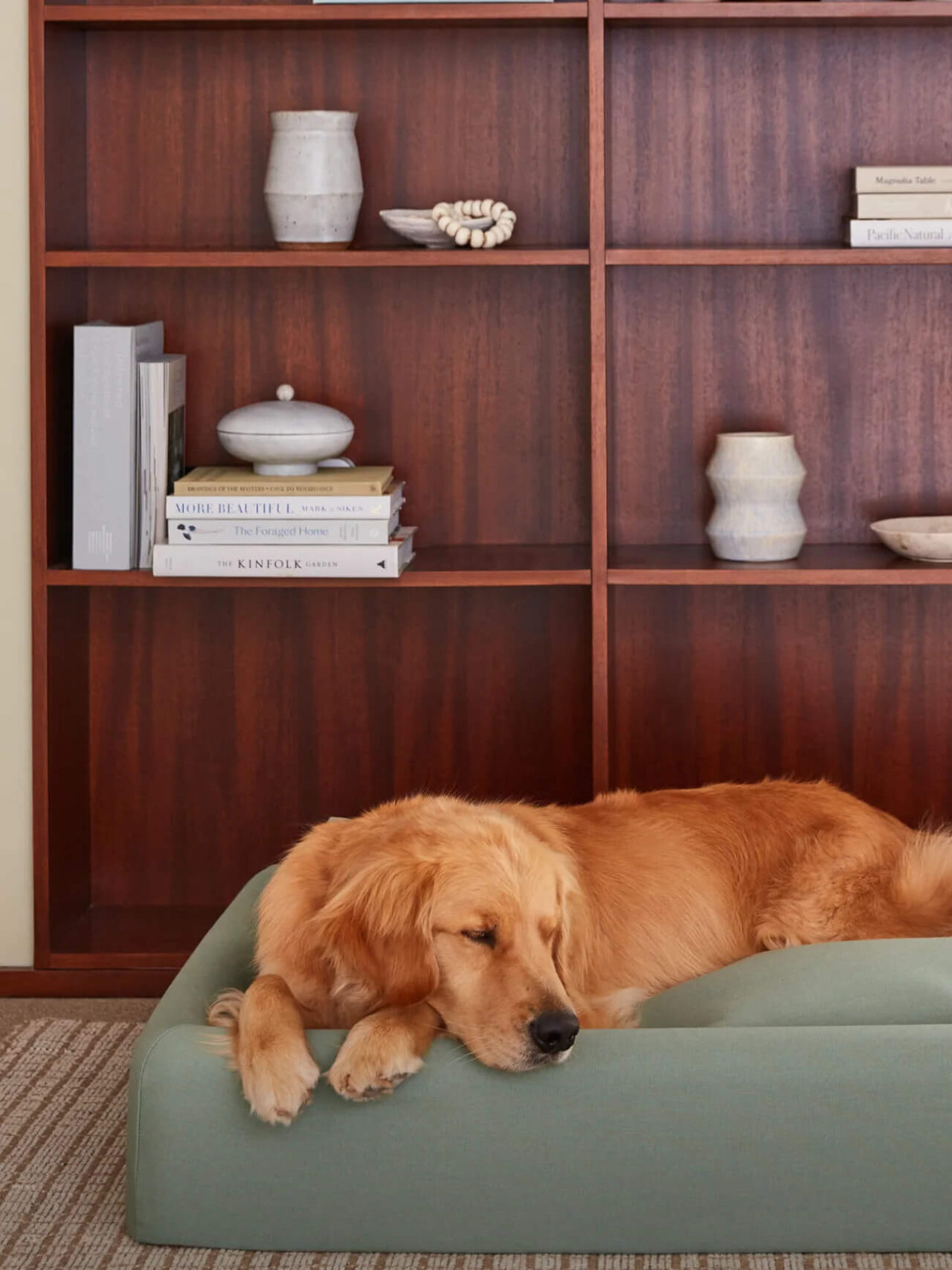 Inspiring Tuft And Needle Dog Bed Pictures