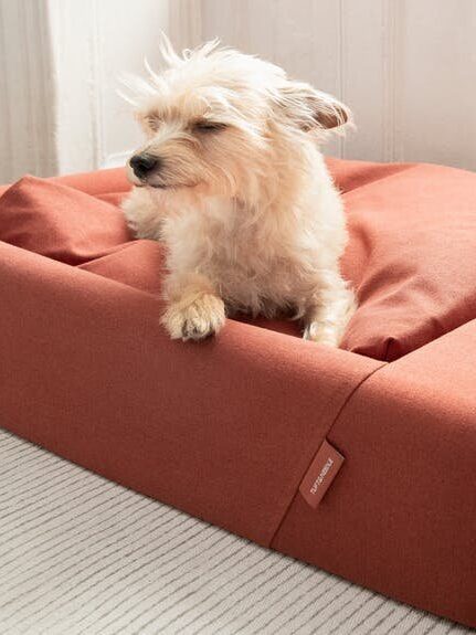 eco-friendly organic dog beds