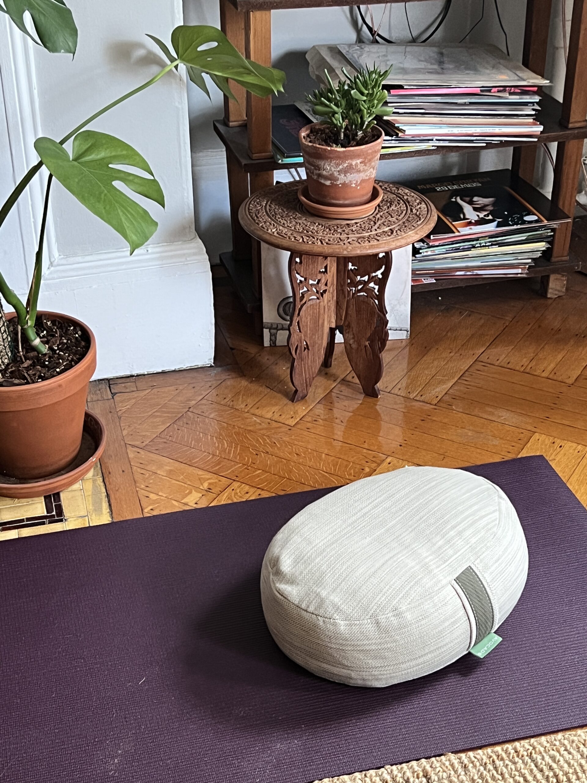 avocado yoga pillow