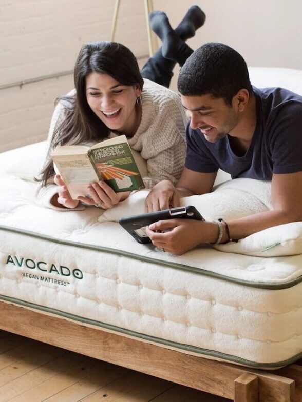 4 Best Vegan Mattresses For A PlantBased Bed In 2023 The Good Trade
