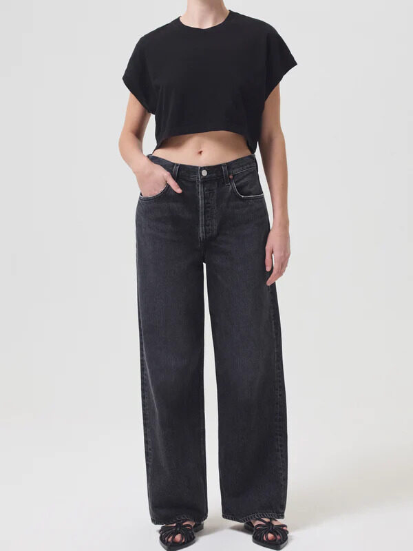 agolde baggy pant