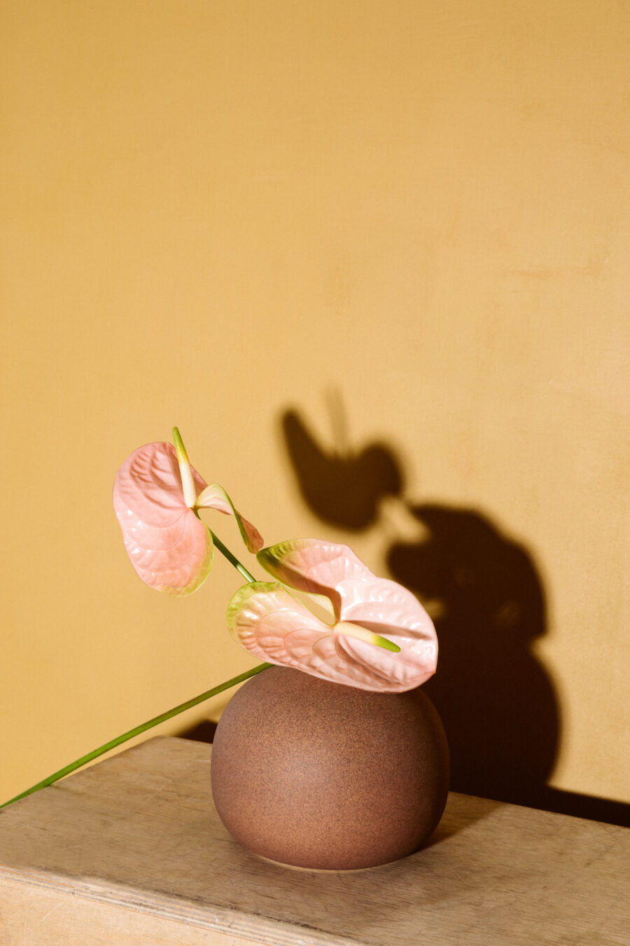 Pink flower in a brown vase sitting on a table.