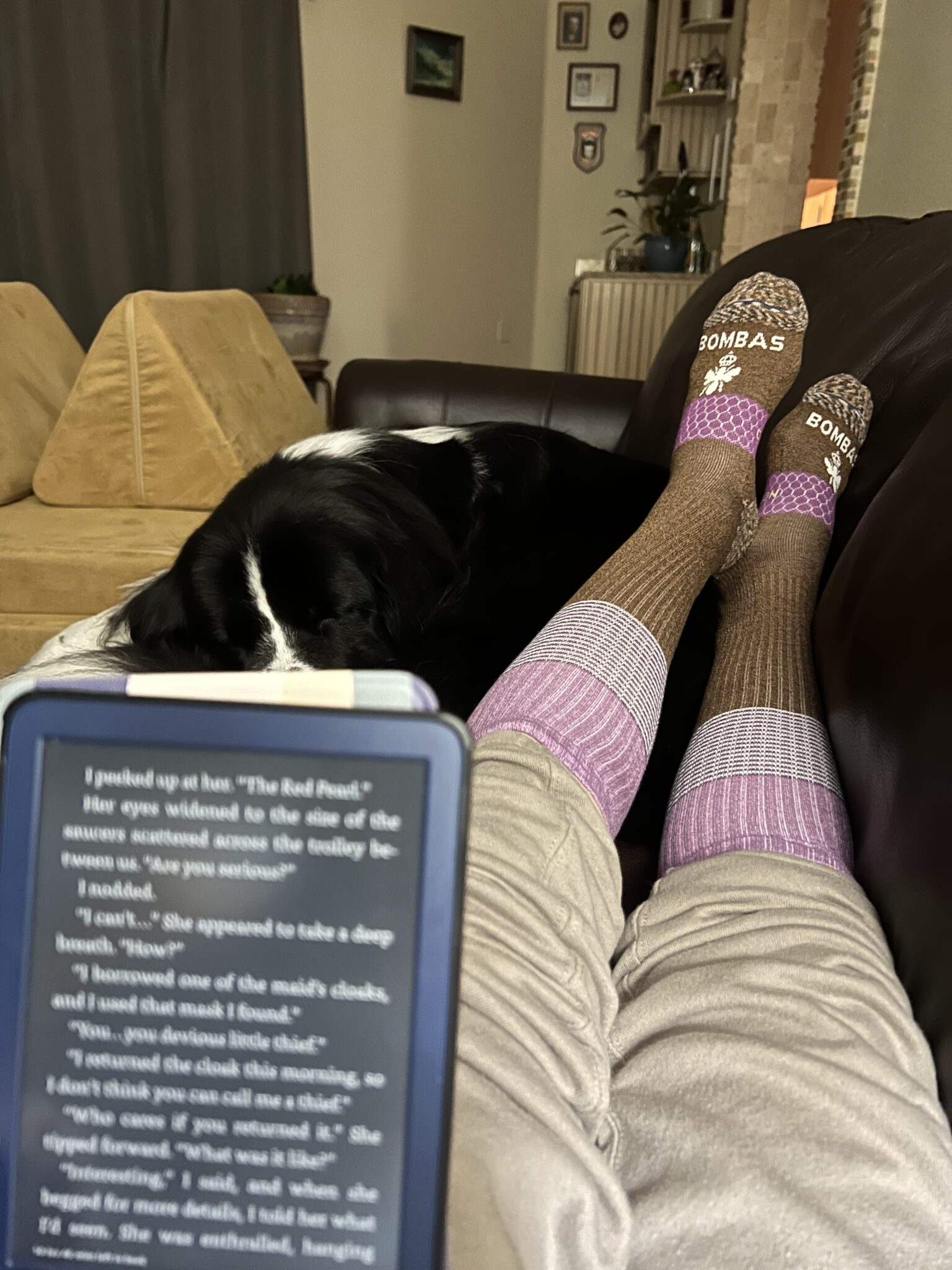 The Sustainable Compression Sock That Gives Back (Bombas Review) The Good Trade