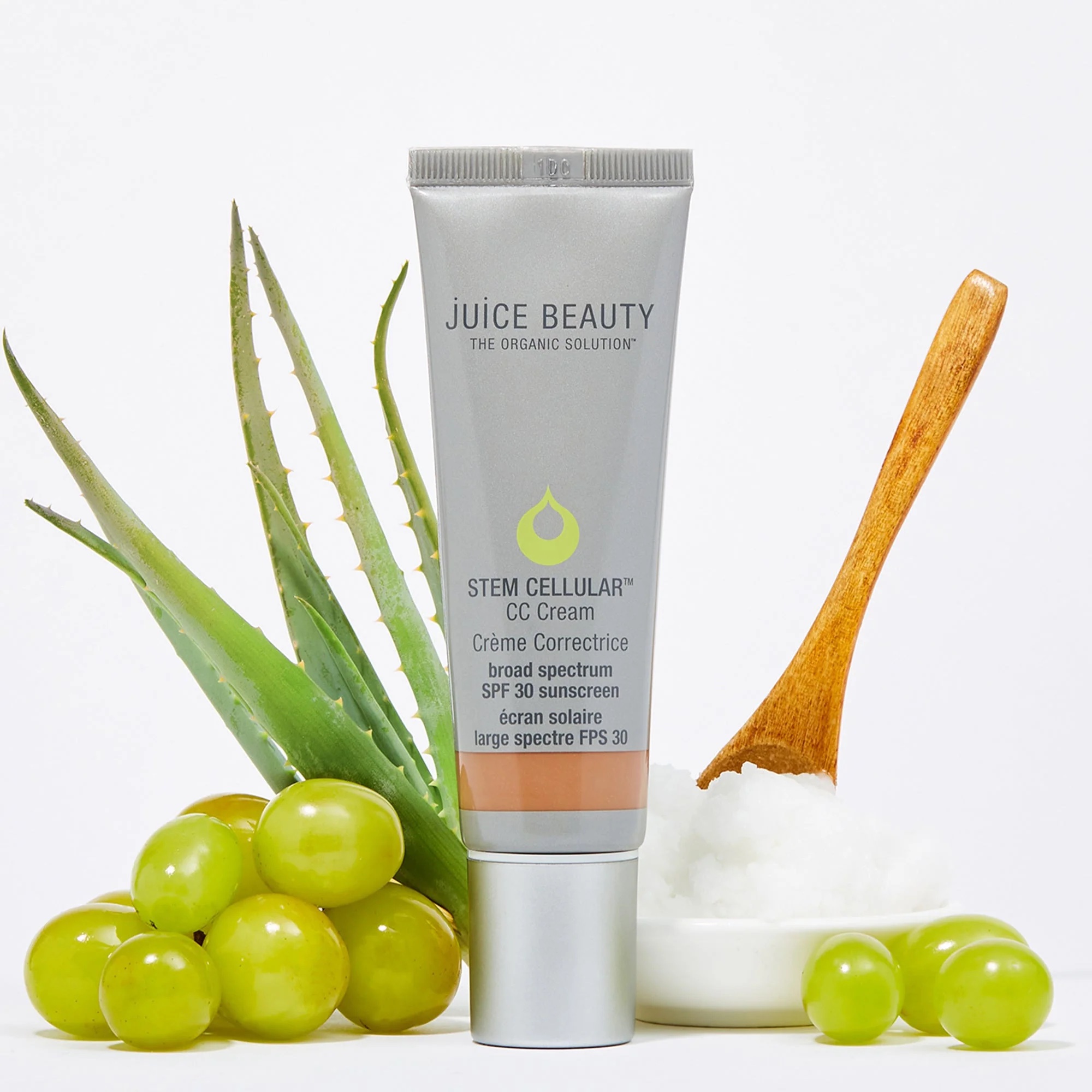A tube of CC cream standing with grapes, aloe, and a bowl of coconut oil with a wooden spoon in it.