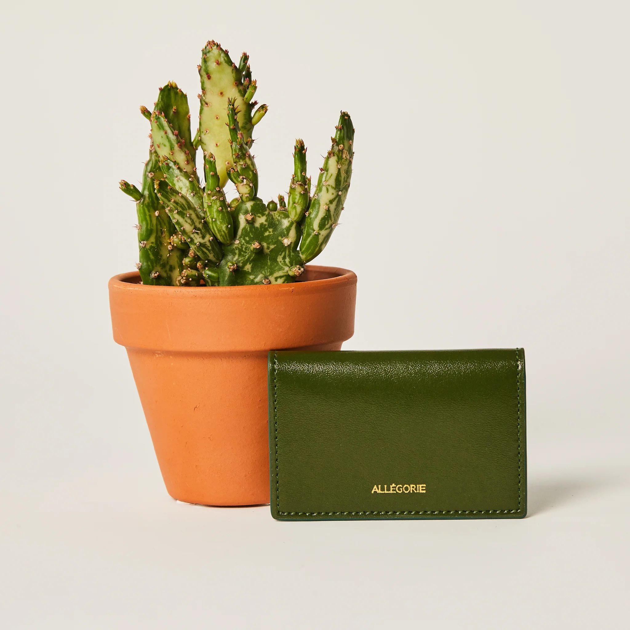 A green wallet sits by a potted cactus.