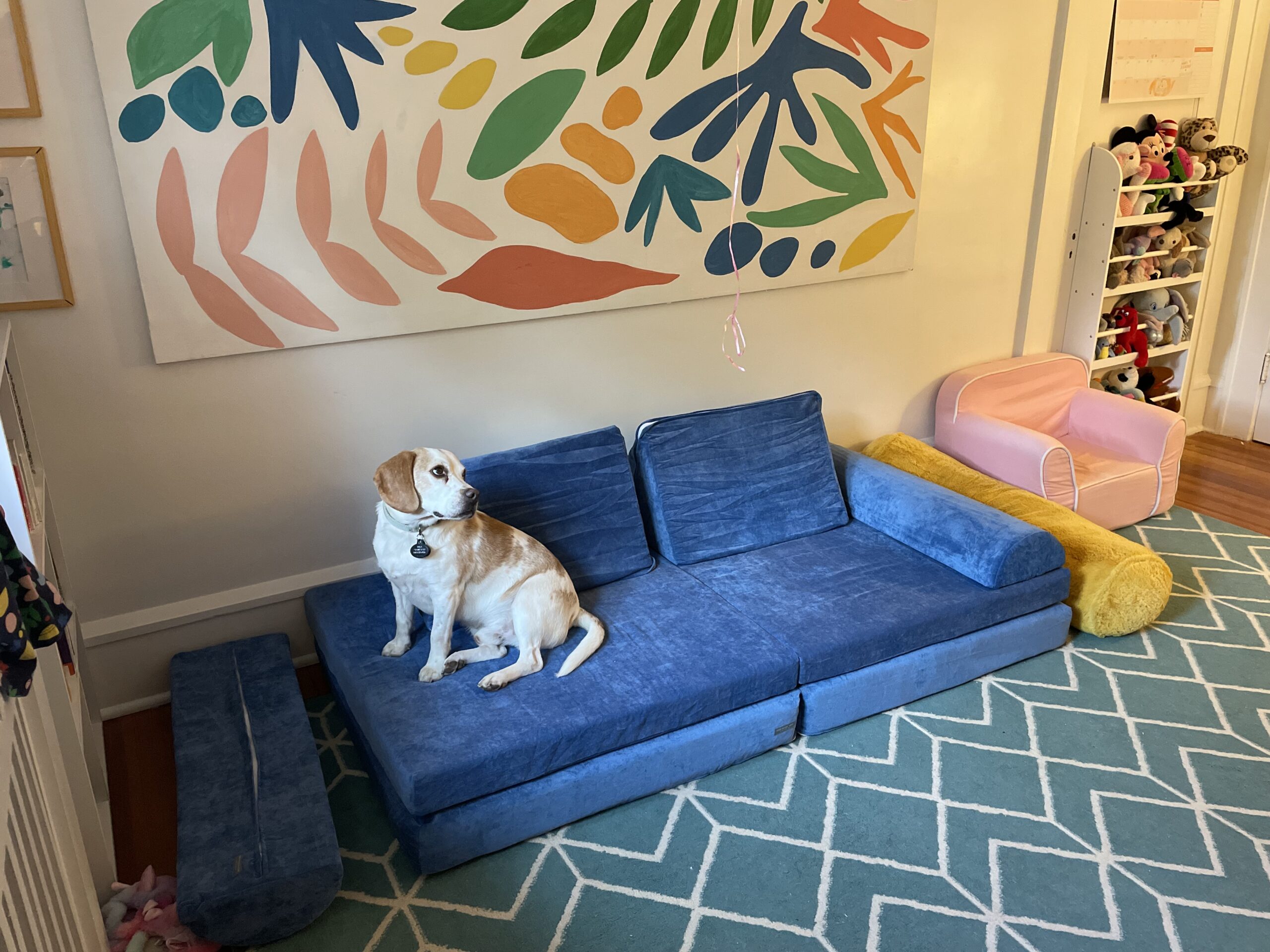 Pets-love-the-brentwood-couch