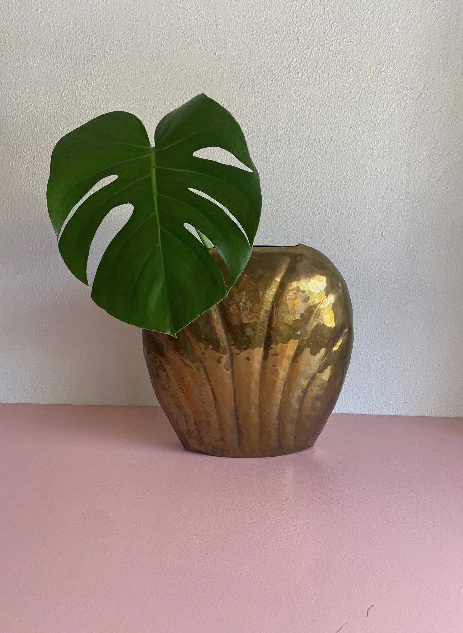 A brass planter with a monstera leaf on a pink surface against a white wall.