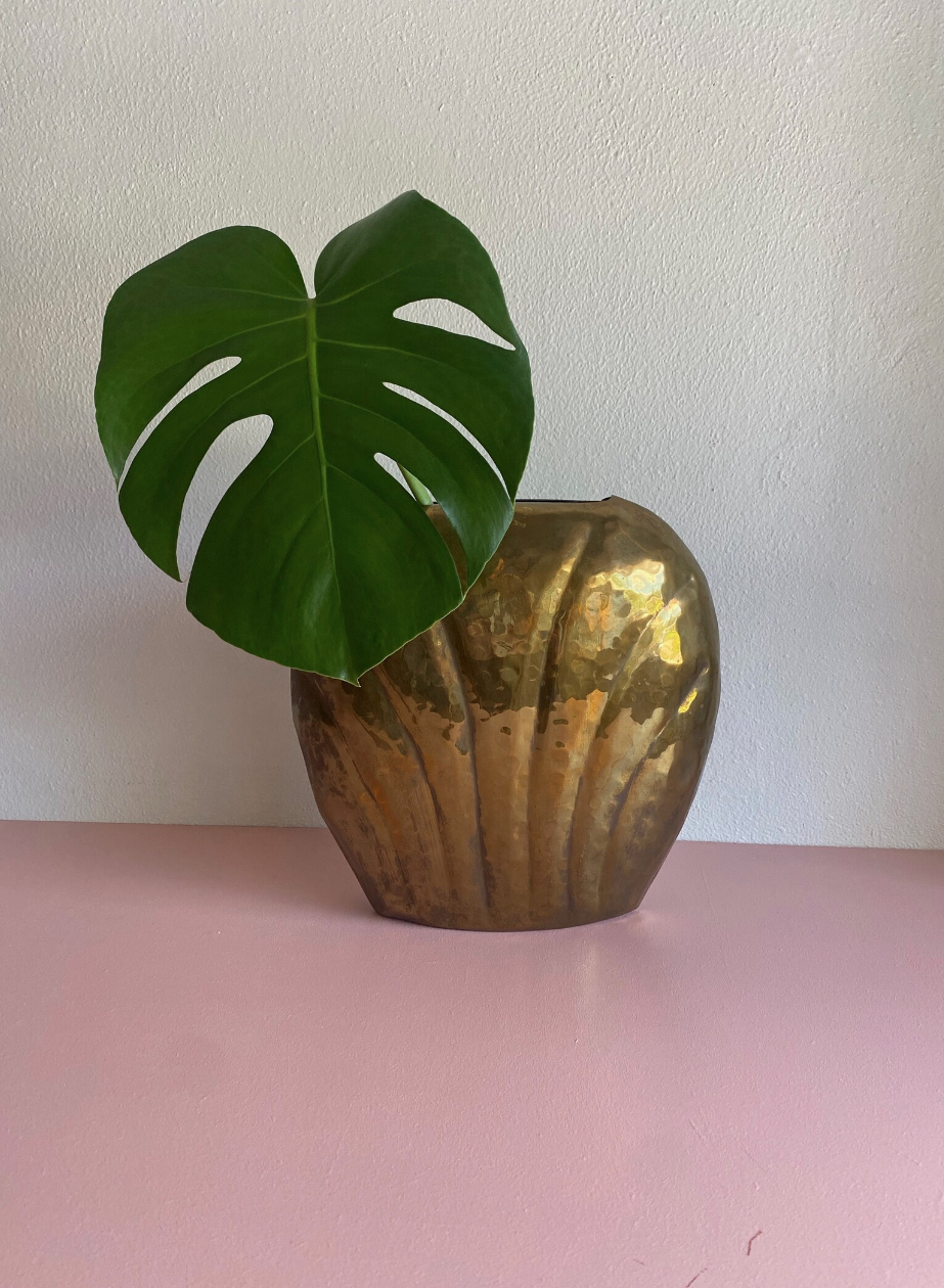 A brass planter with a monstera leaf on a pink surface against a white wall. 