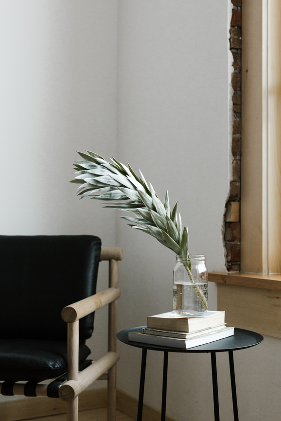 greenery in a vase by window in contemporary room