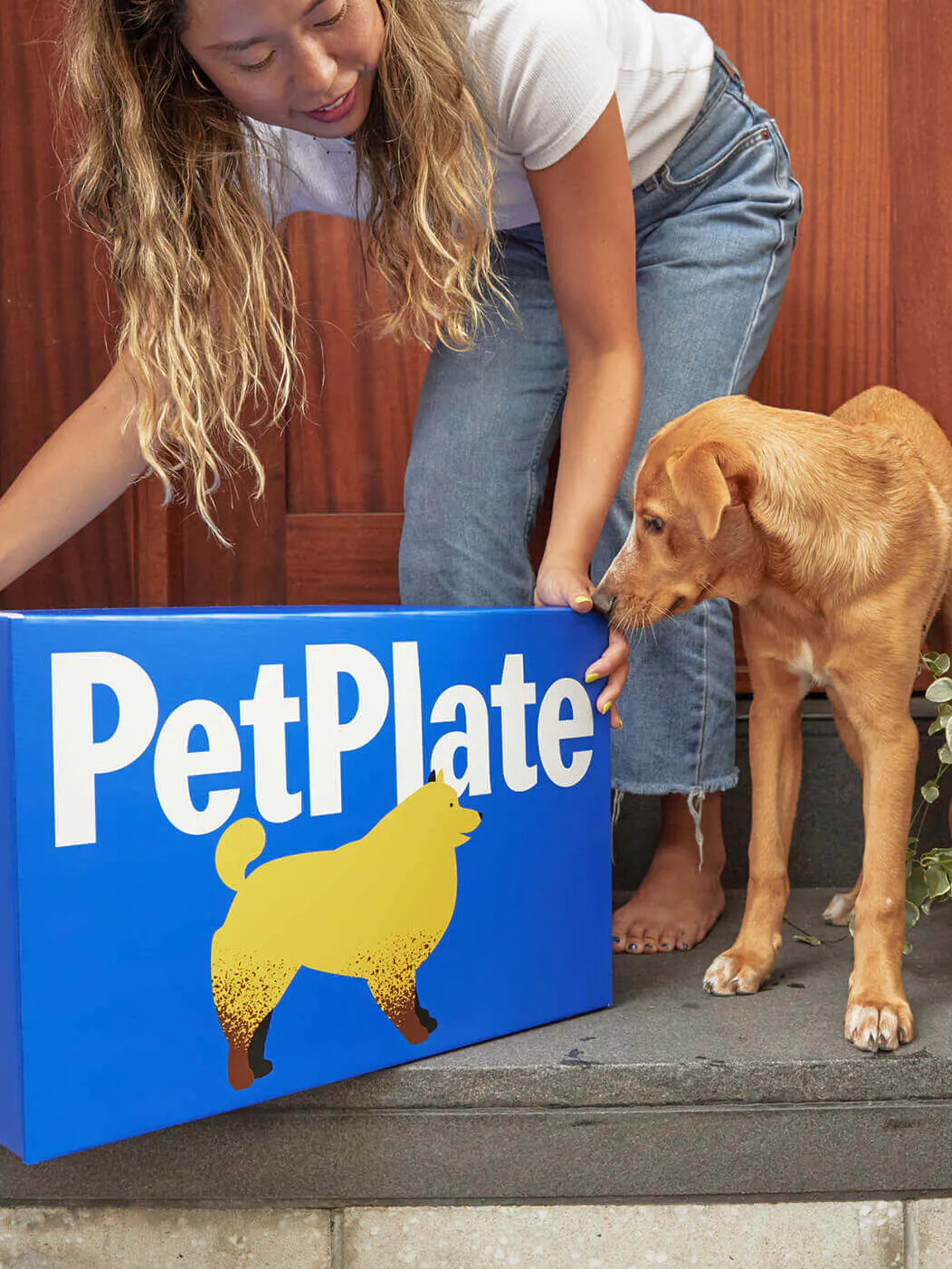 Pet Plate Dog Food