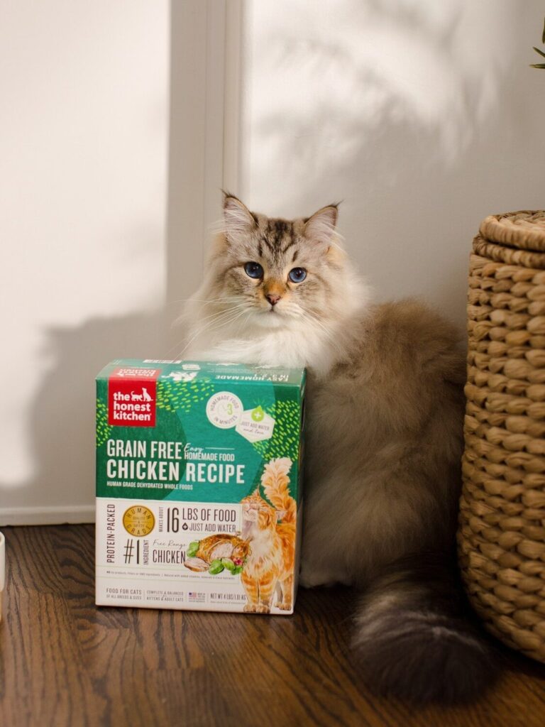 7 Natural & Organic Dog Food Brands In 2024 The Good Trade