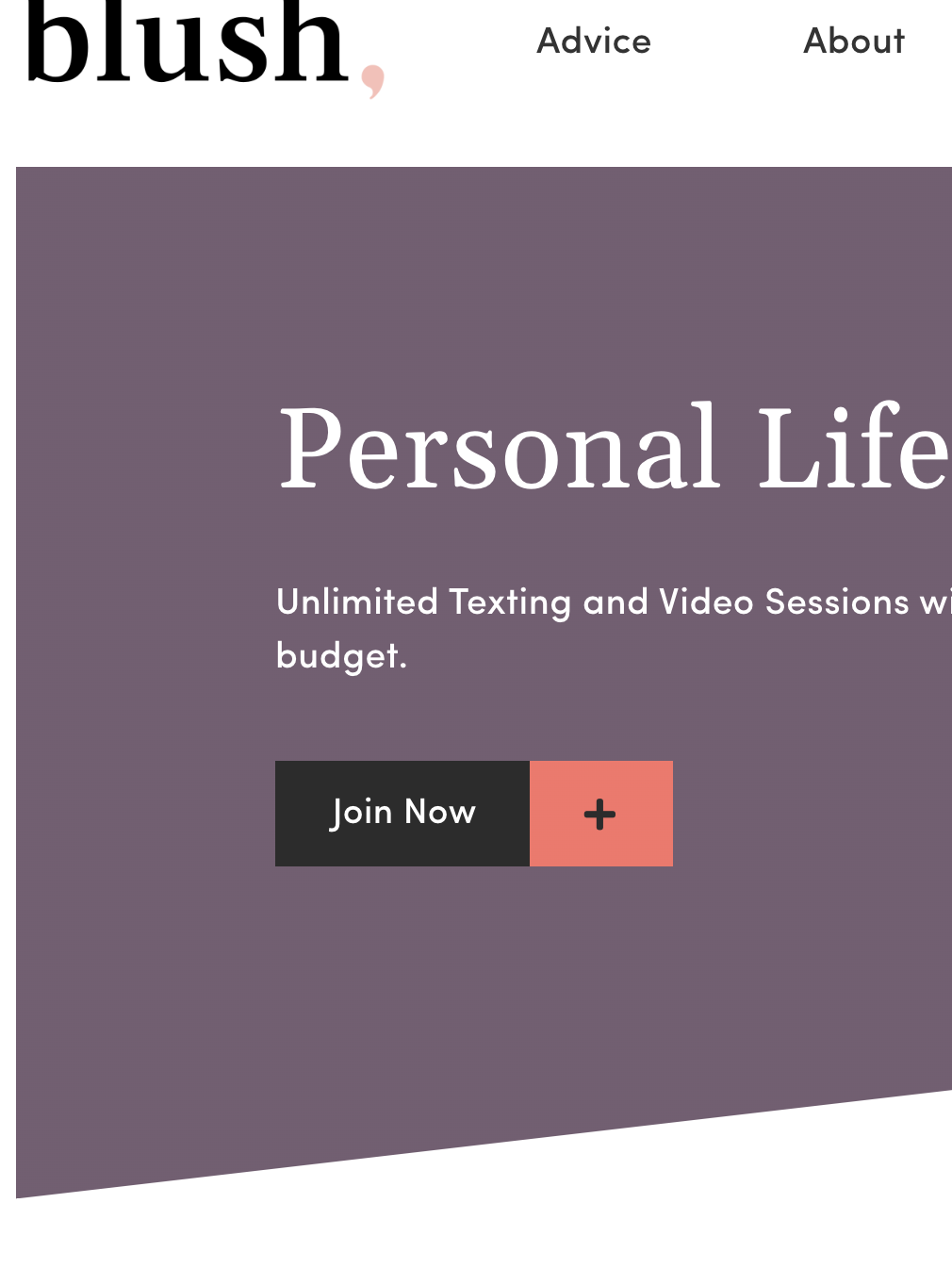 A screenshot of the blush life coaching website home page. 