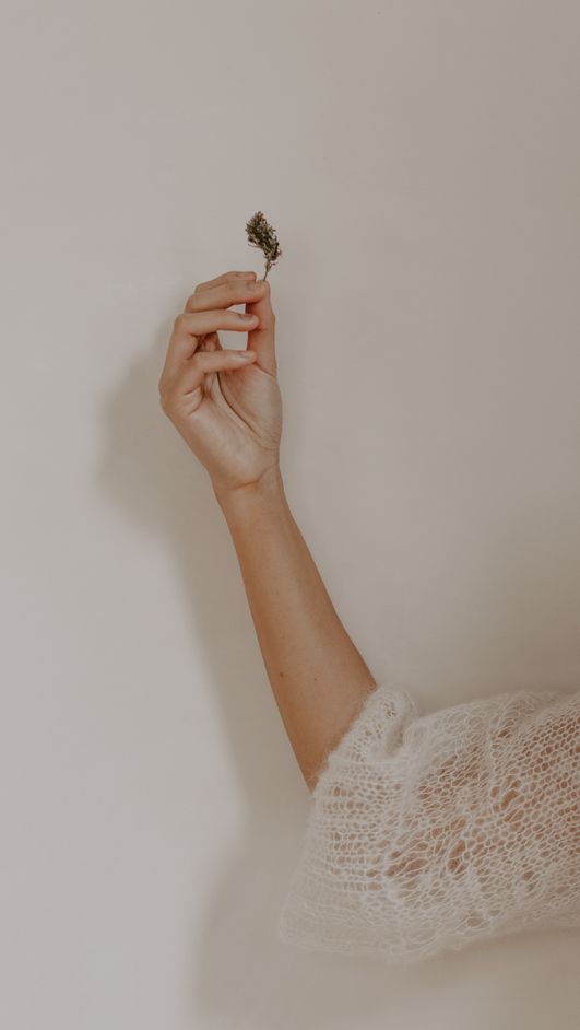 A beautiful marijuana bud, held delicately against a neutral wall.