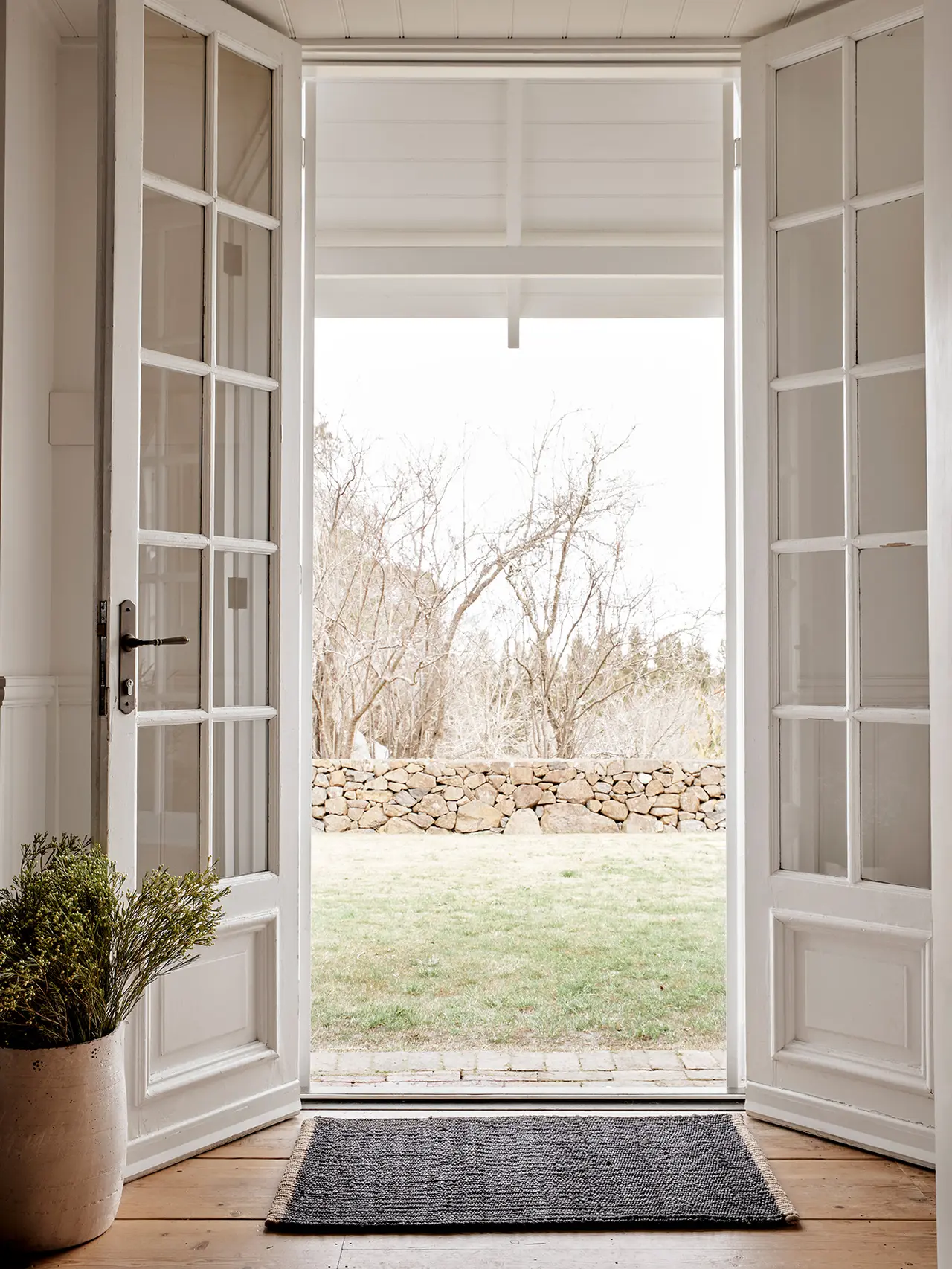 Two French Doors opening into a garden with a nontoxic Armadillo rug in front of them. 