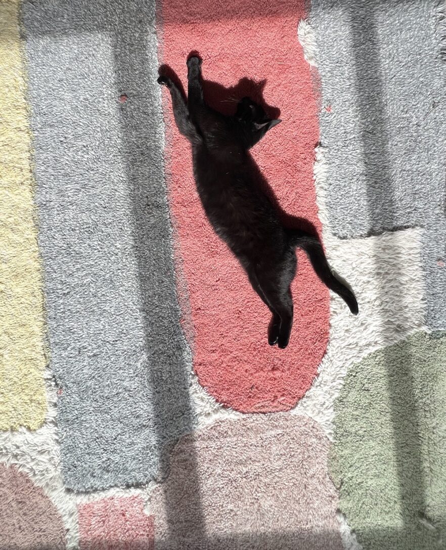 We Review Lorena Canals Original Nontoxic Washable Rug The Good Trade