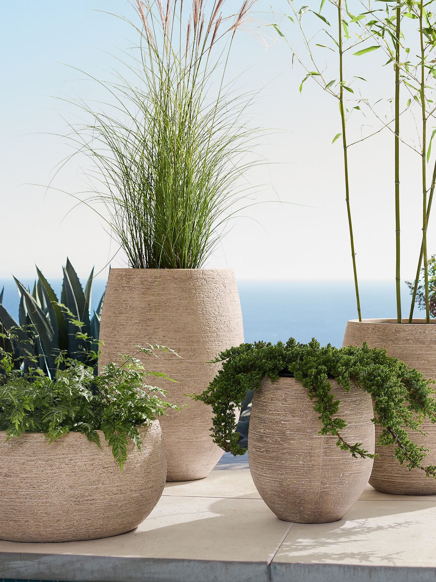 4 light beige West Elm plant pots with plants in it set on a balcony.