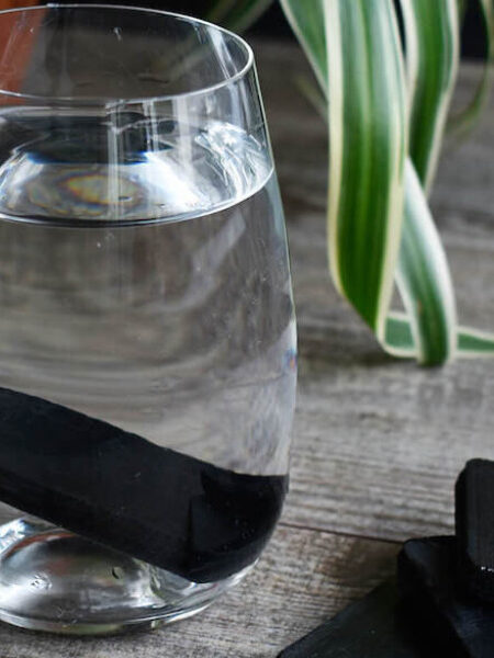 A Kishu Charcoal Stick in a clear glass tumbler of water