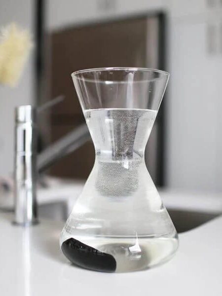 A Kishu Charcoal Stick in a clear carafe filled with water.