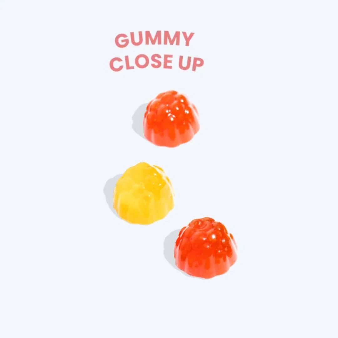 A close up of First Day gummy vitamins