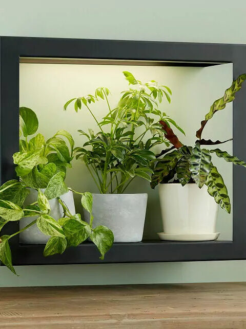 A framed wall planter with three pots displayed in it. 