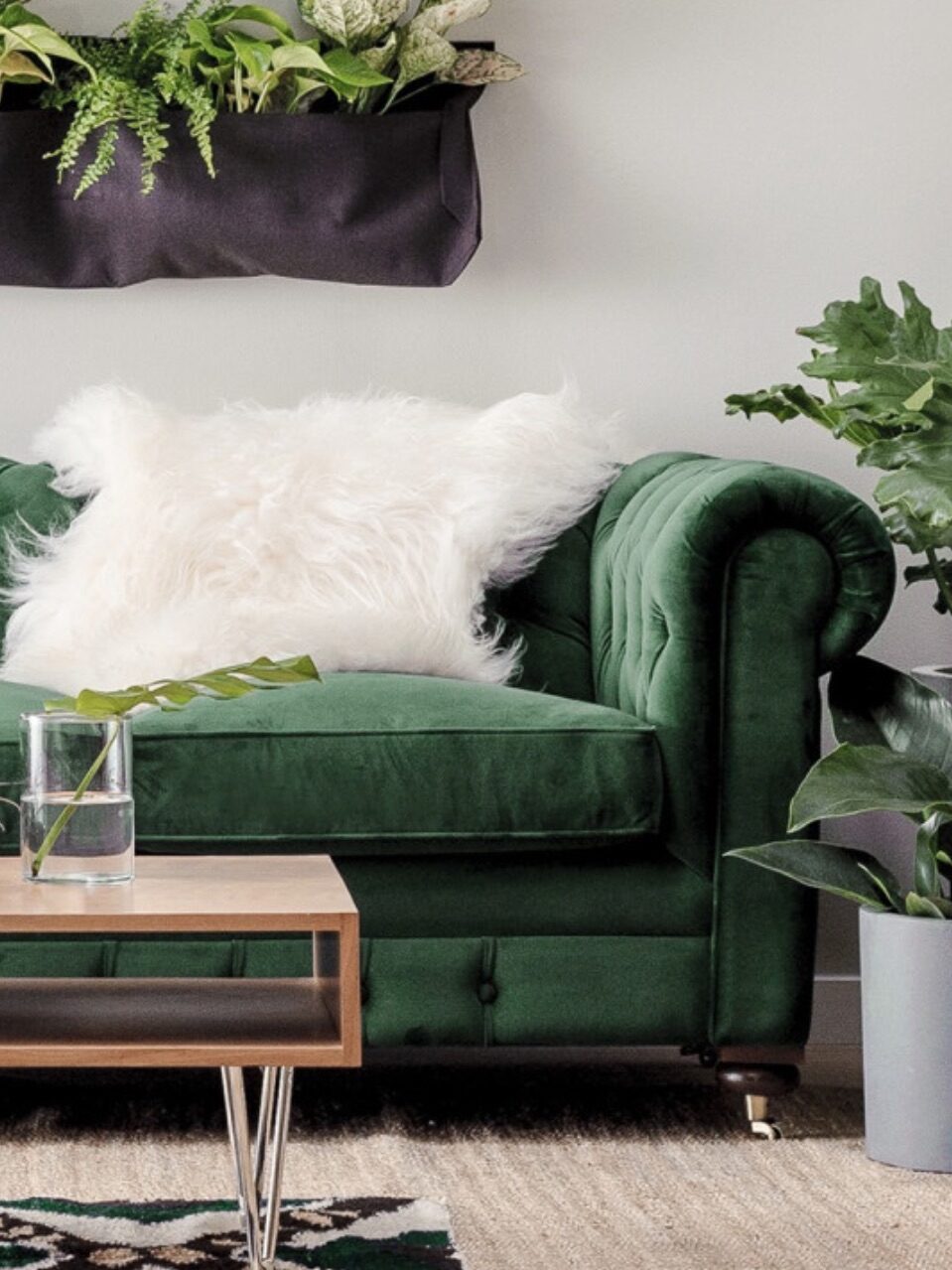 A sustainable velvelt green sofa from Joybird