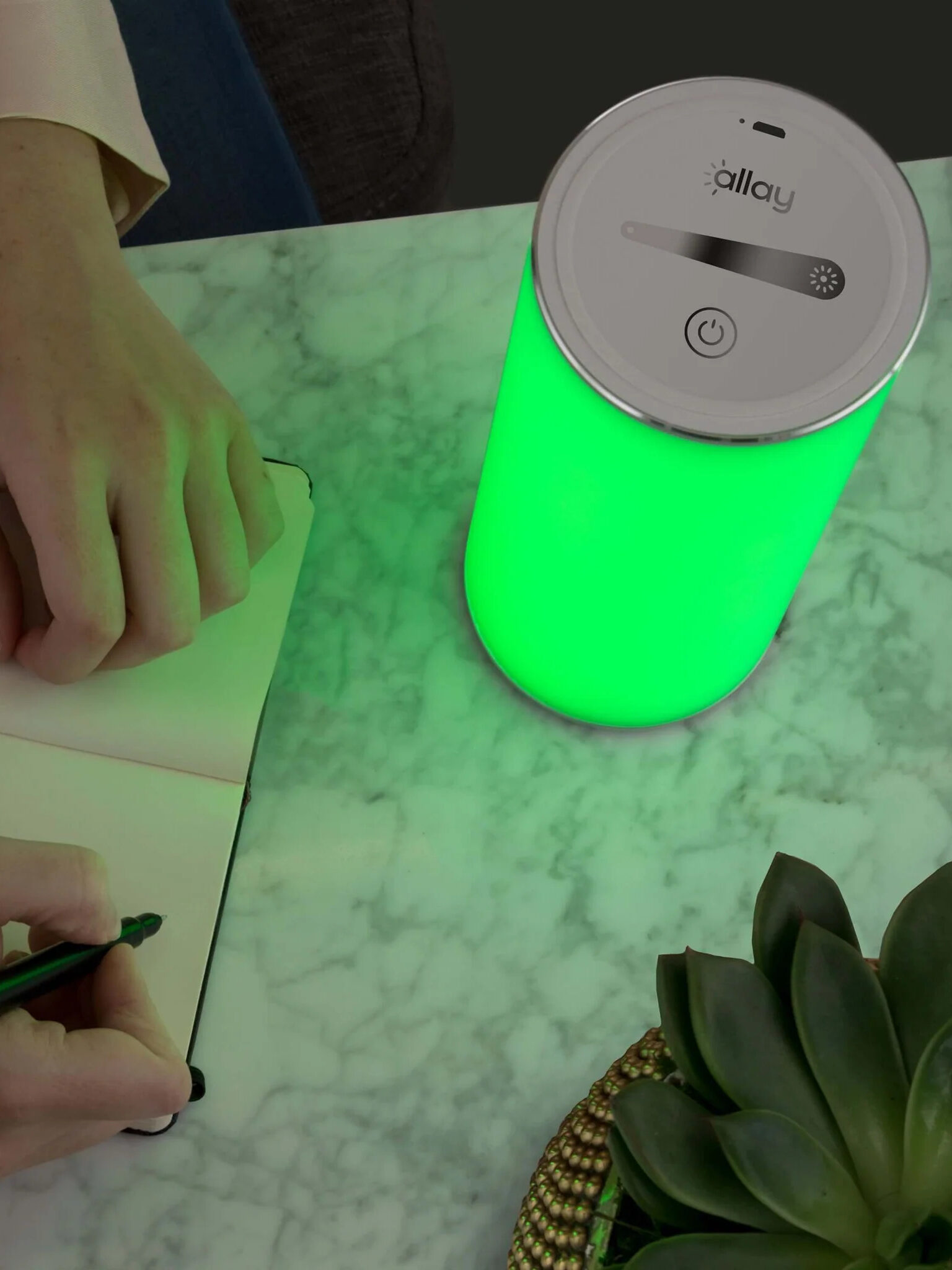 An allay lamp on a desk with an open journal and plant next to it.