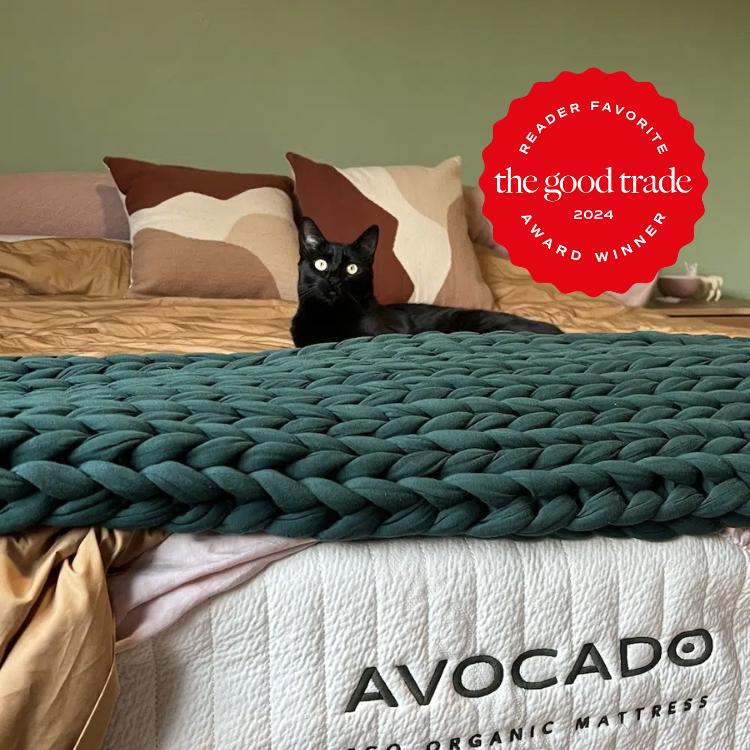 An Avocado mattress with a cat on top. The TGT 2024 Award Winner Badge is on the right corner of the image.